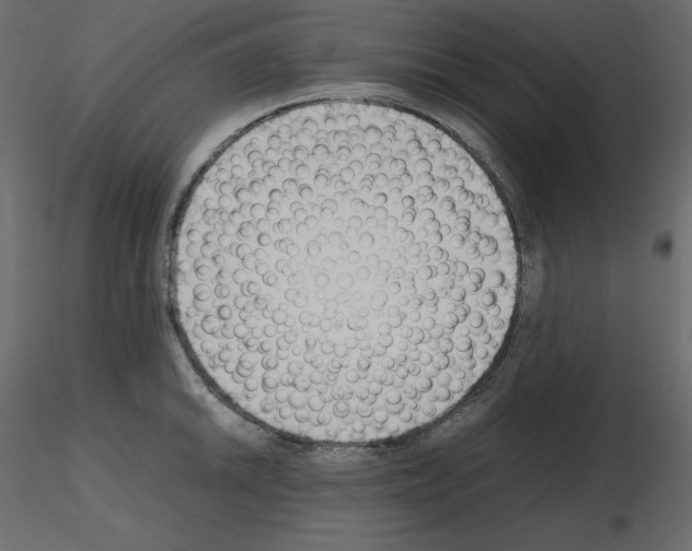 X0000115721046200912241601