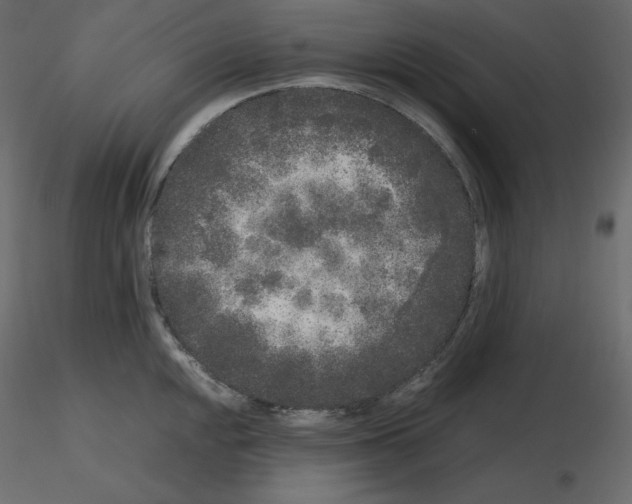 X0000115721048200912241601