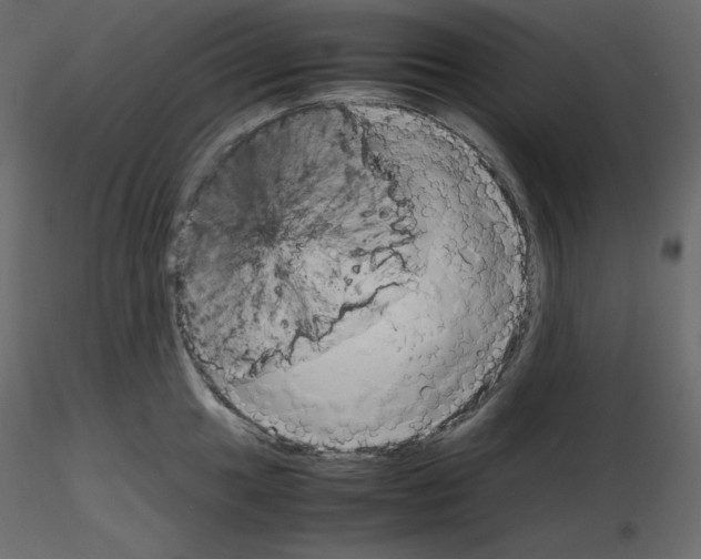 X0000115721049200912241601