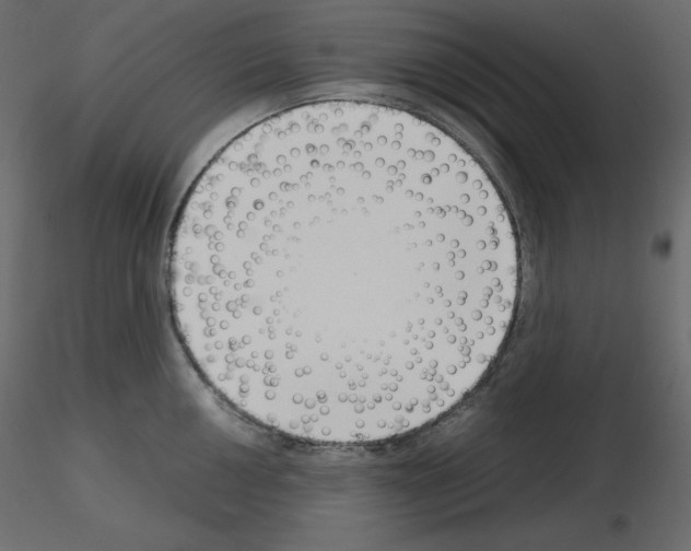 X0000115721050200912241601