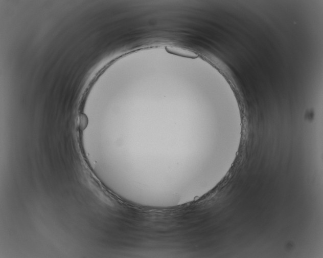 X0000115721051200912241601