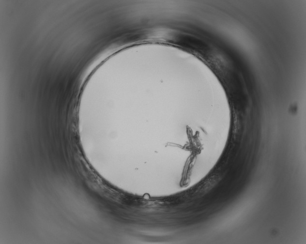 X0000115721052200912241601