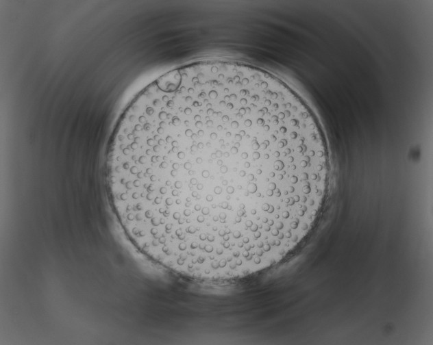 X0000115721053200912241601