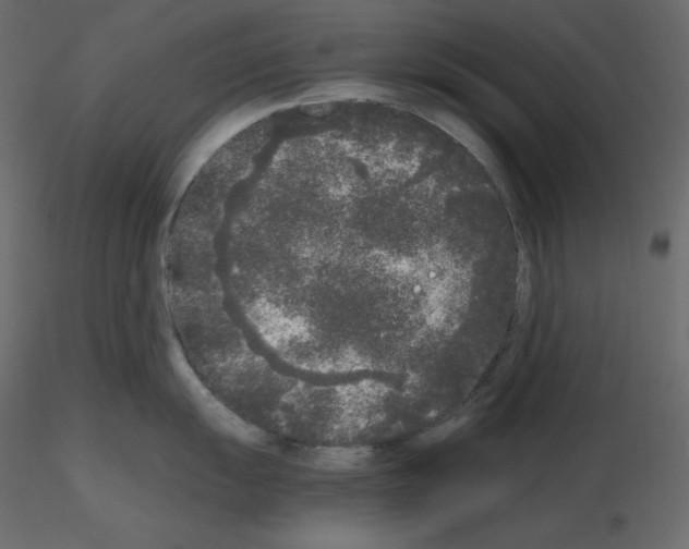 X0000115721055200912241601