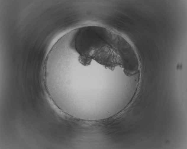 X0000115721056200912241601