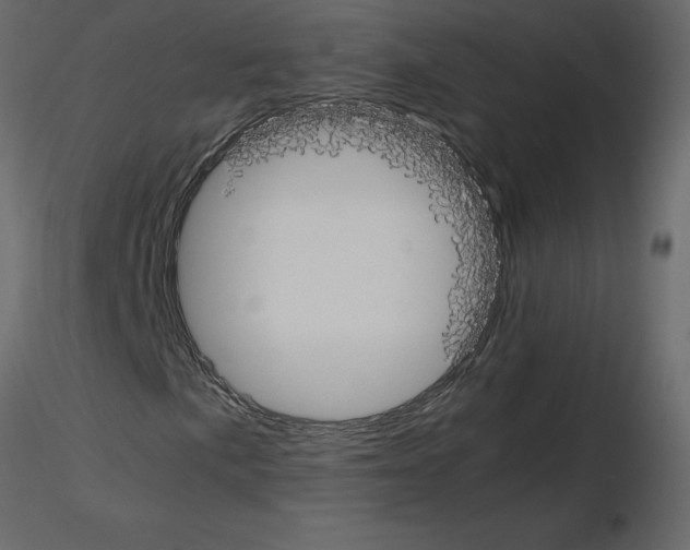 X0000115721057200912241600