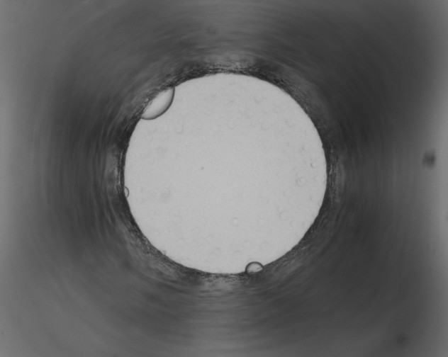 X0000115721058200912241600