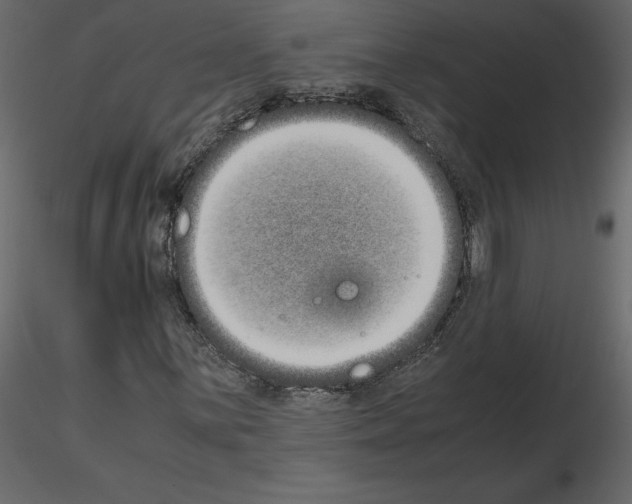 X0000115721059200912241600