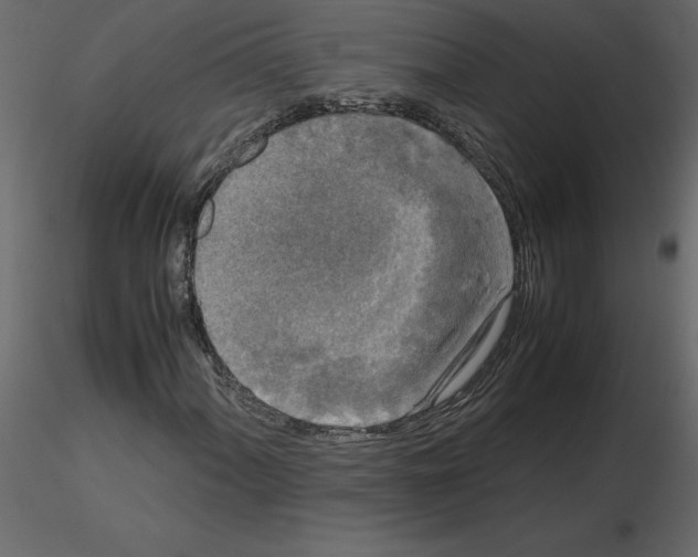 X0000115721060200912241600