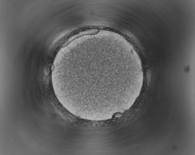 X0000115721064200912241600