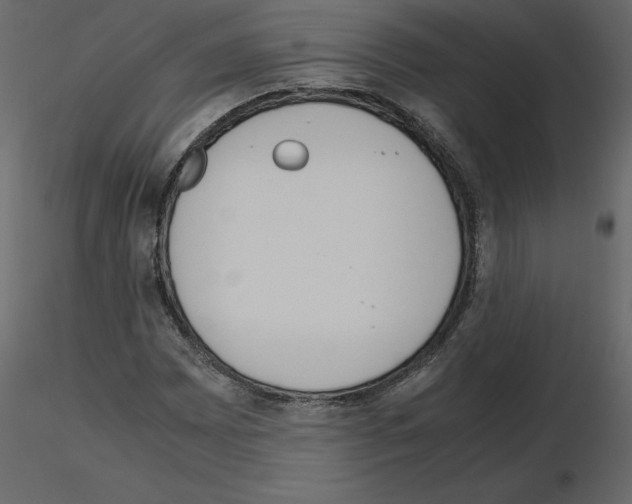 X0000115721065200912241600
