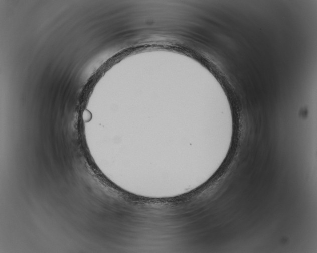X0000115721066200912241600