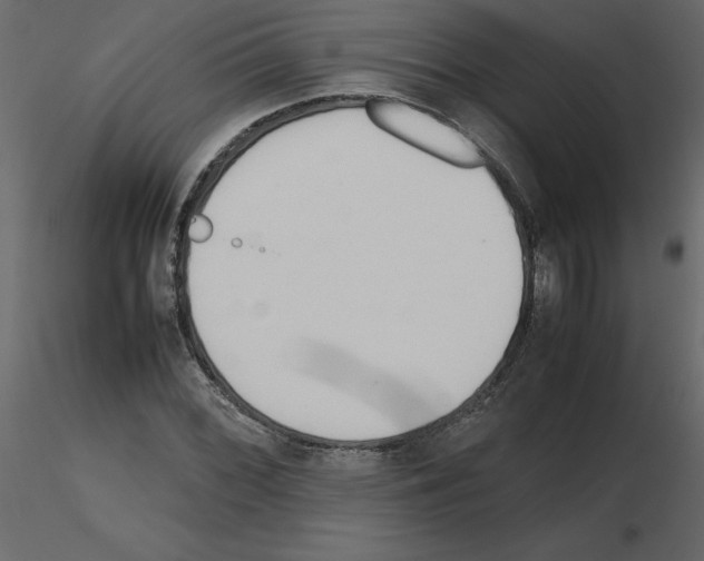X0000115721068200912241600