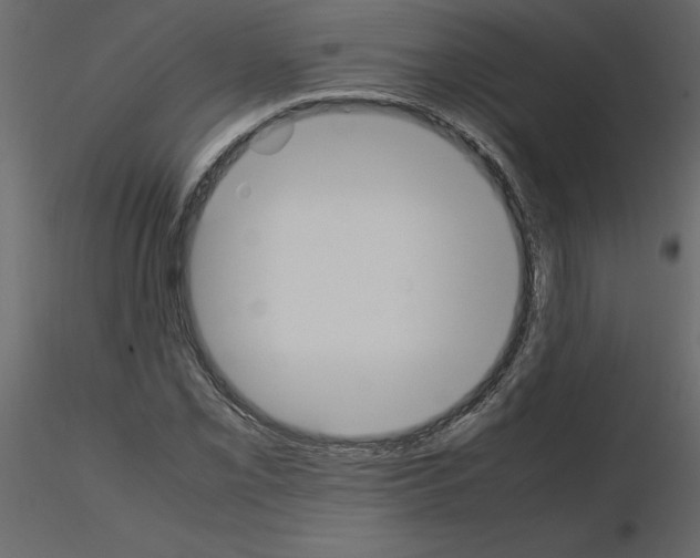 X0000115721069200912241600