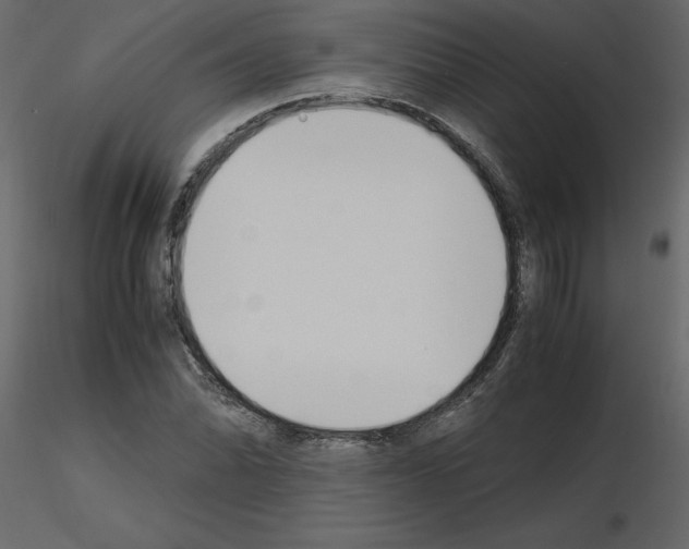 X0000115721070200912241600