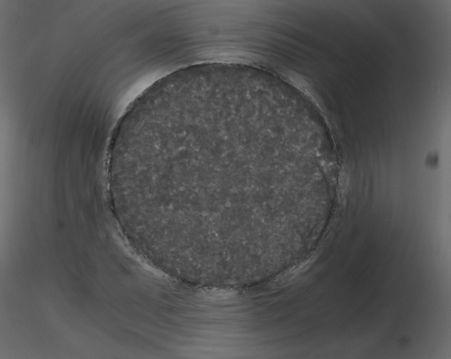 X0000115721071200912241600