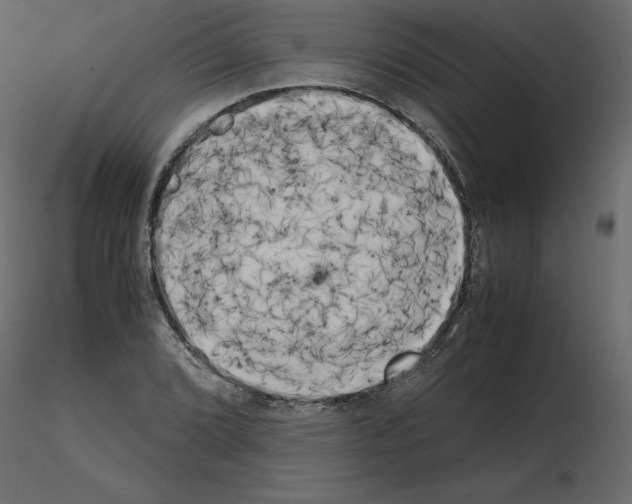 X0000115721072200912241600