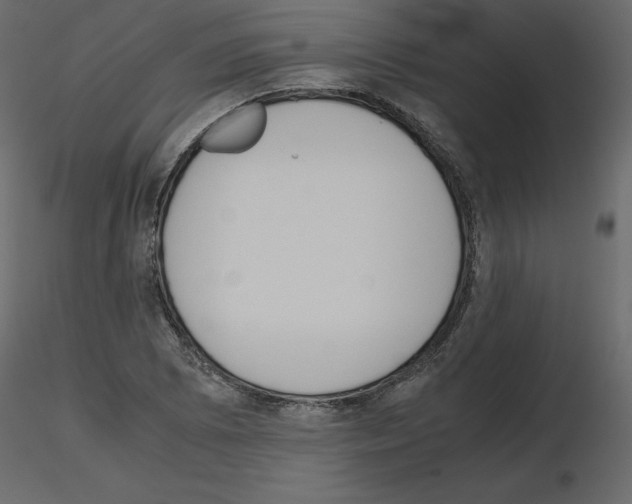 X0000115721073200912241600