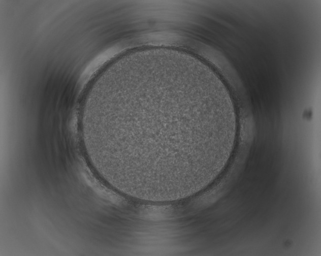 X0000115721074200912241600
