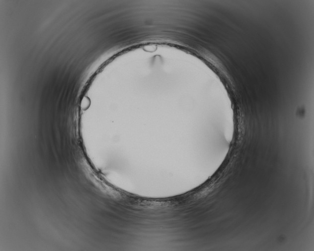 X0000115721076200912241600