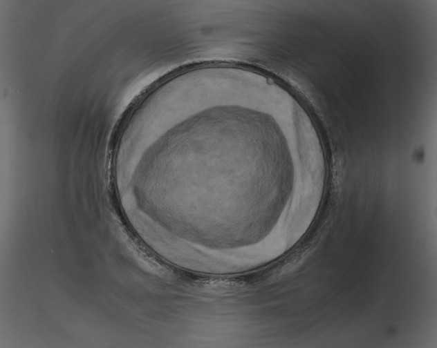 X0000115721077200912241600