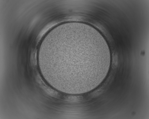 X0000115721078200912241600