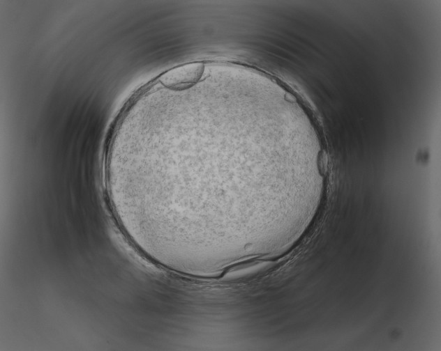 X0000115721080200912241600