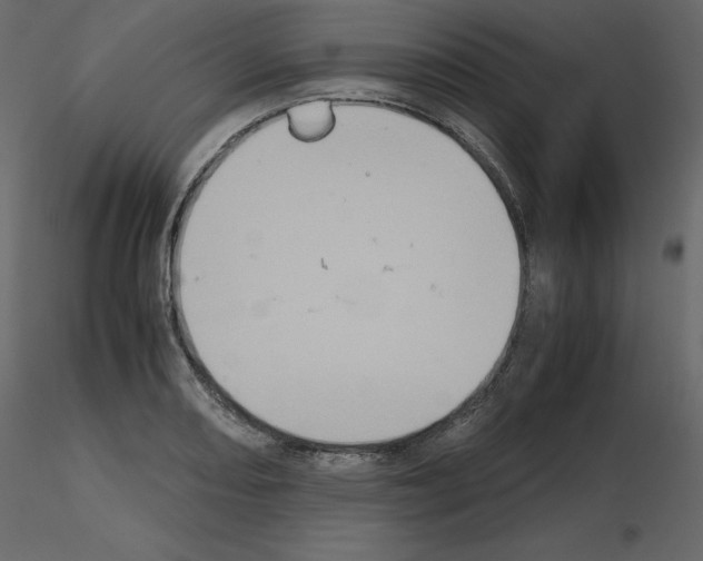 X0000115721082200912241600
