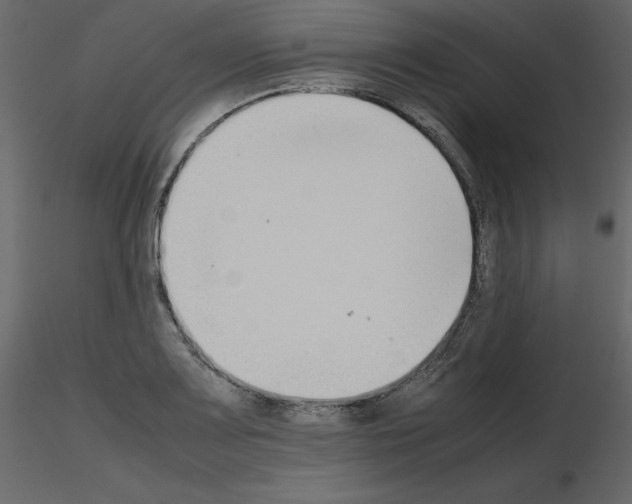 X0000115721083200912241600