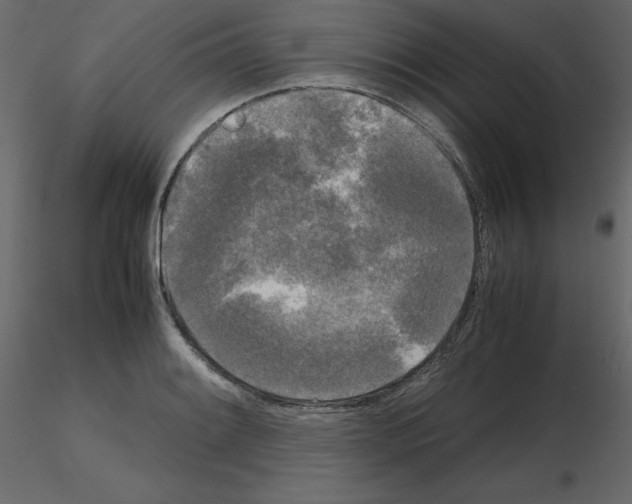 X0000115721084200912241600