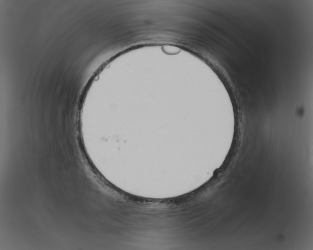 X0000115721085200912241600