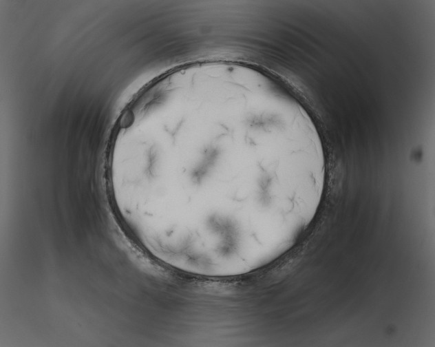 X0000115721086200912241600