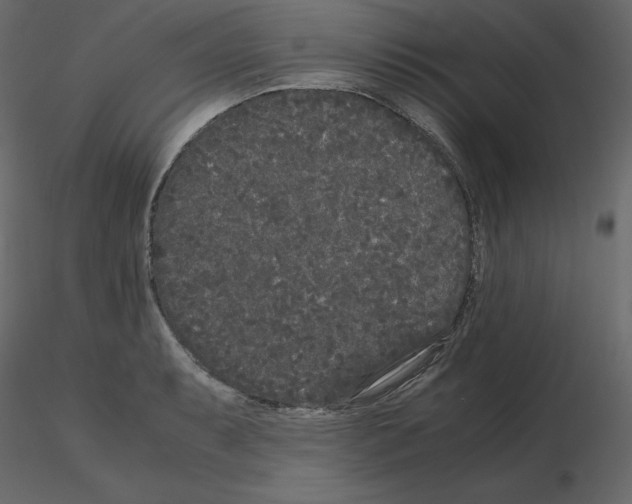 X0000115721087200912241600