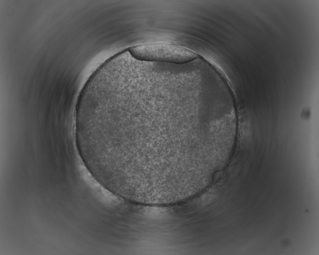 X0000115721088200912241600