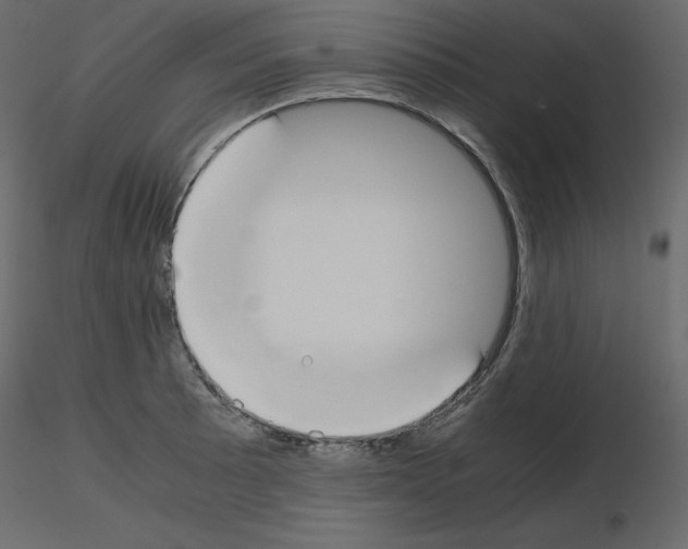 X0000115721089200912241600