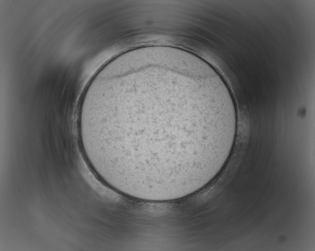 X0000115721090200912241600
