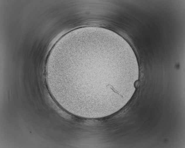 X0000115721091200912241600