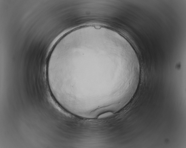 X0000115721092200912241600