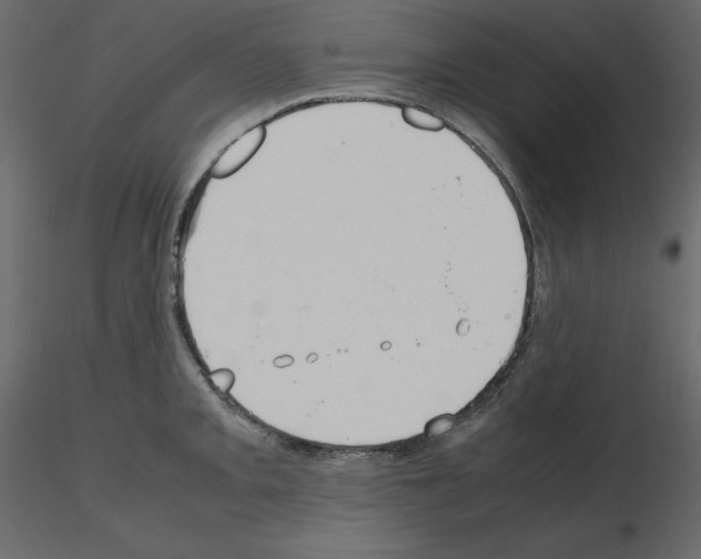X0000115721093200912241600