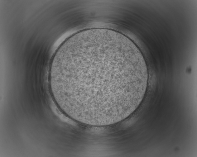 X0000115721094200912241600