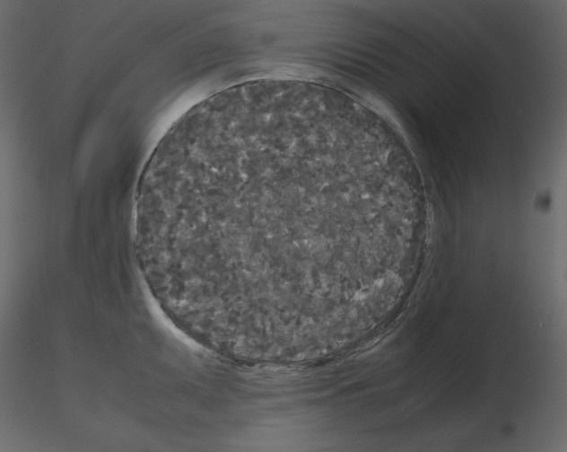 X0000115721095200912241600