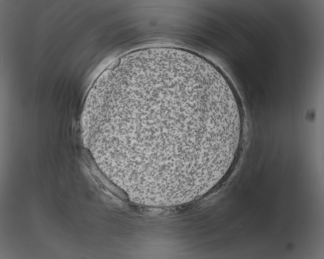X0000115721097200912241600