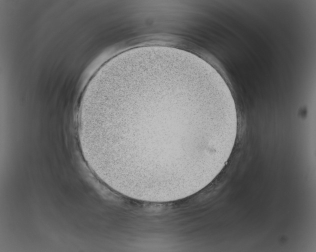 X0000115721099200912241559