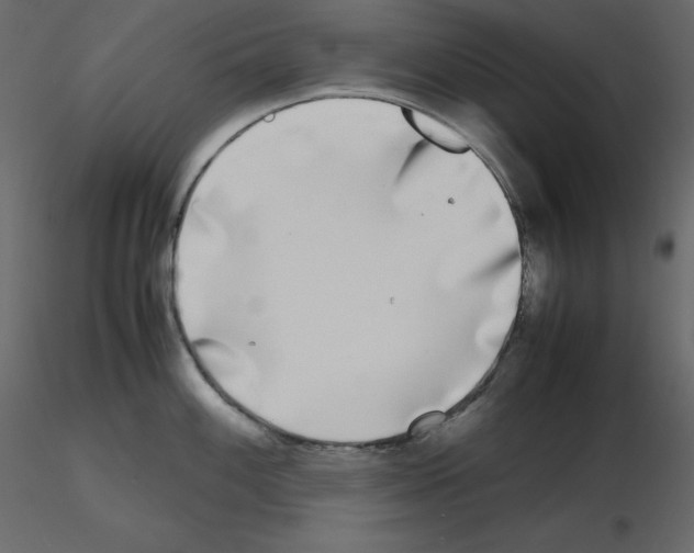 X0000115721100200912241559