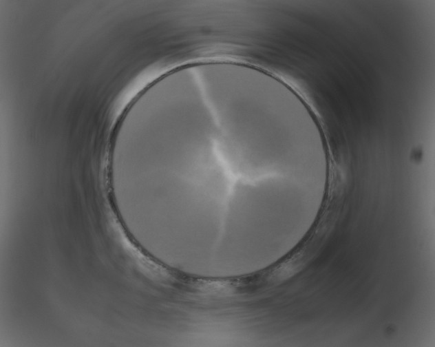 X0000115721101200912241559