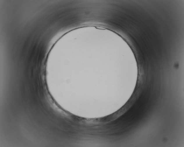 X0000115721102200912241559
