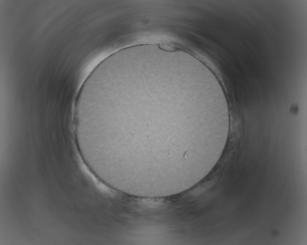X0000115721103200912241559
