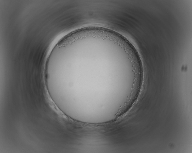 X0000115721104200912241559