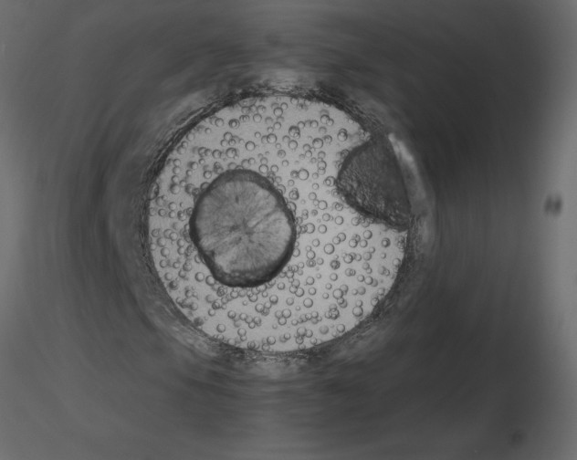 X0000115721105200912241559
