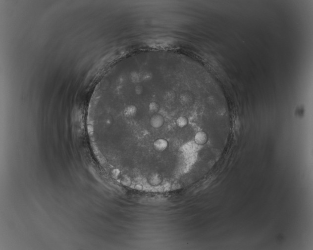 X0000115721106200912241559